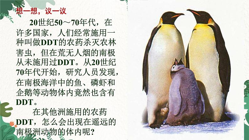 人教版生物七年级上册 1.2.3 生物圈是最大的生态系统课件03