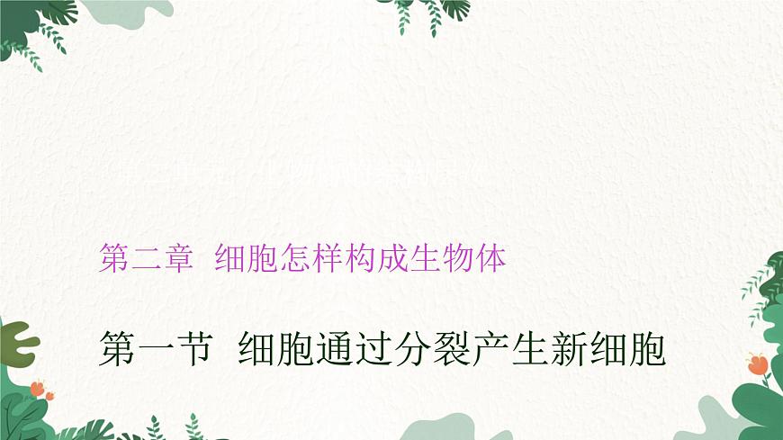 人教版生物七年級上冊 2.2.1 細(xì)胞通過分裂產(chǎn)生新細(xì)胞課件第1頁