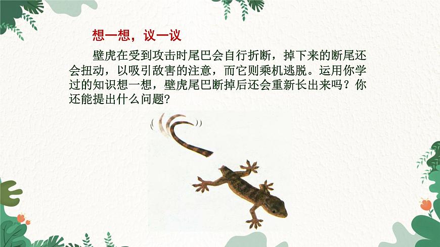 人教版生物七年級上冊 2.2.1 細(xì)胞通過分裂產(chǎn)生新細(xì)胞課件第4頁