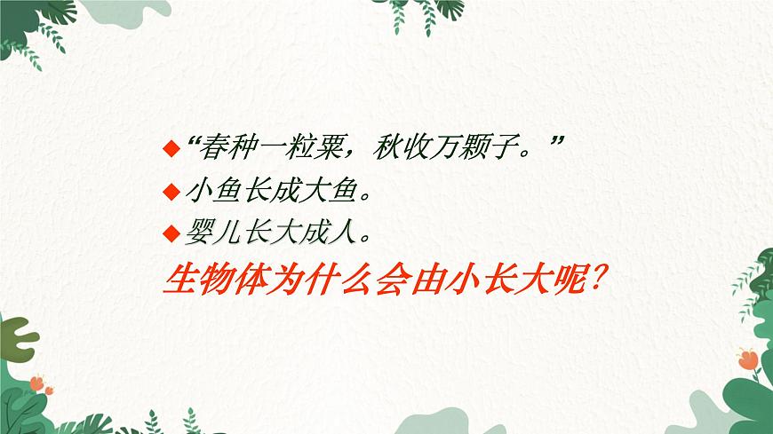 人教版生物七年級上冊 2.2.1 細(xì)胞通過分裂產(chǎn)生新細(xì)胞課件第8頁