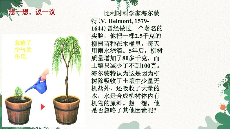 人教版生物七年级上册 3.5.1 光合作用吸收二氧化碳释放氧气课件04