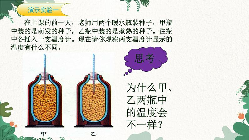 人教版生物七年级上册 3.5.2 绿色植物的呼吸作用课件07