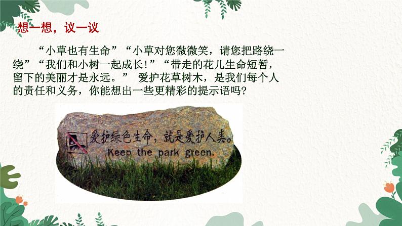 人教版生物七年级上册 3.6 爱护植被,绿化祖国课件03