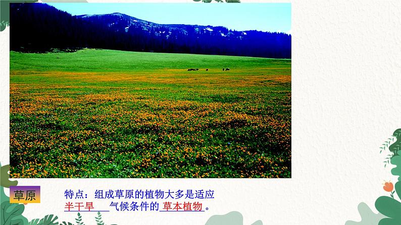 人教版生物七年级上册 3.6 爱护植被,绿化祖国课件06