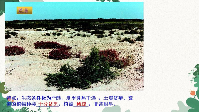 人教版生物七年级上册 3.6 爱护植被,绿化祖国课件07