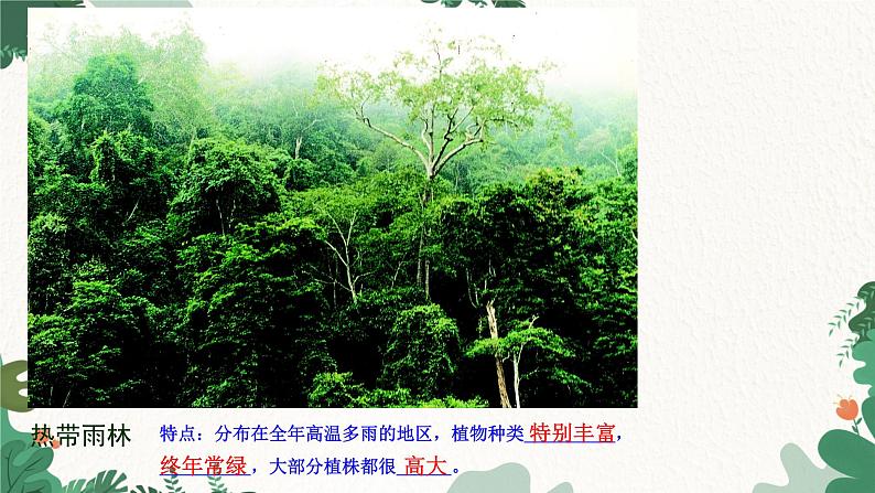 人教版生物七年级上册 3.6 爱护植被,绿化祖国课件08