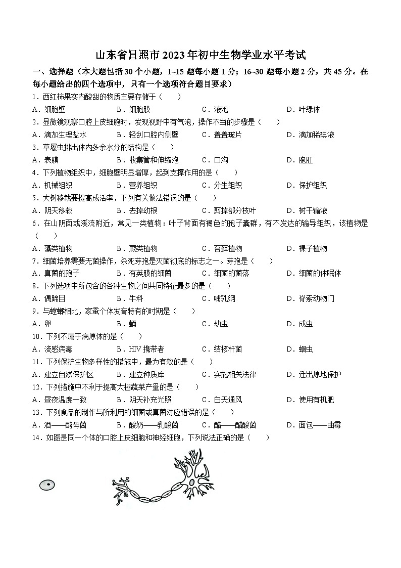 2023年山东省日照市生物中考真题(含答案)第1页