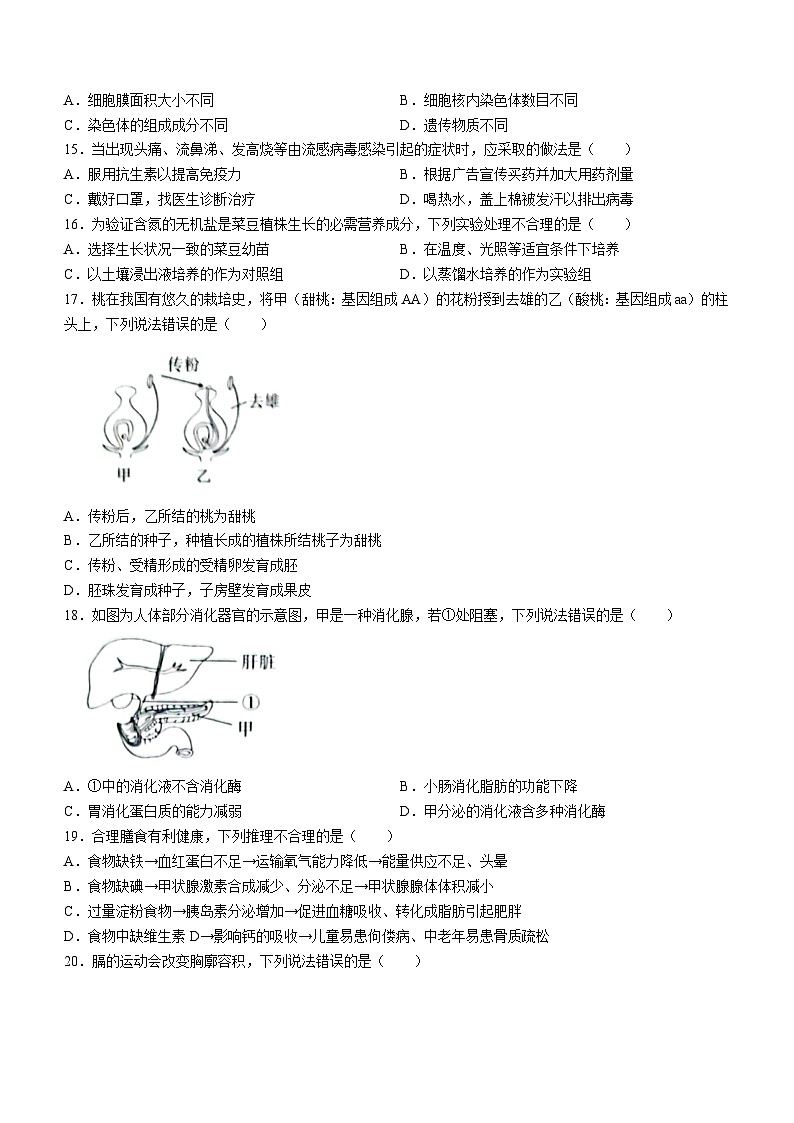 2023年山东省日照市生物中考真题(含答案)第2页