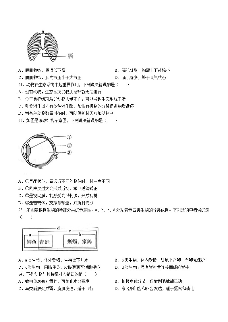 2023年山东省日照市生物中考真题(含答案)第3页