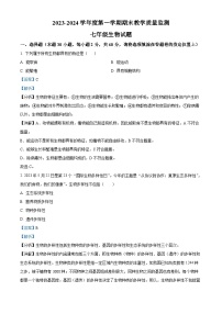 29，广东省揭阳市揭东区2023-2024学年七年级上学期期末生物试题