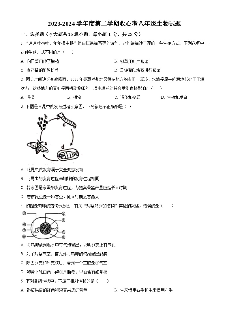 陕西省西安市高新第二初级中学2023-2024学年八年级下学期开学考生物试题（原卷版+解析版）