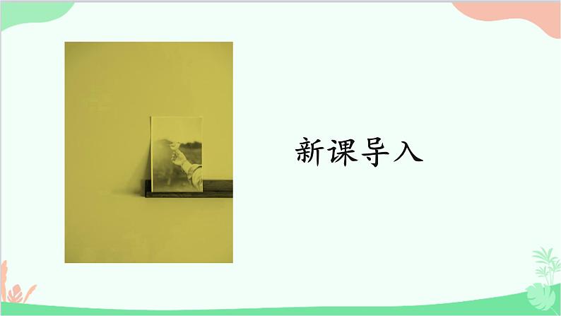 人教版生物七年级上册 第1单元第2章第1节第1课时 环境中的生态因素 非生物因素对生物的影响课件第3页