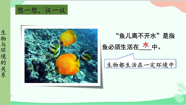 人教版生物七年级上册 第1单元第2章第1节第1课时 环境中的生态因素 非生物因素对生物的影响课件第4页