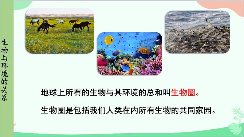 人教版生物七年级上册 第1单元第2章第1节第1课时 环境中的生态因素 非生物因素对生物的影响课件第5页