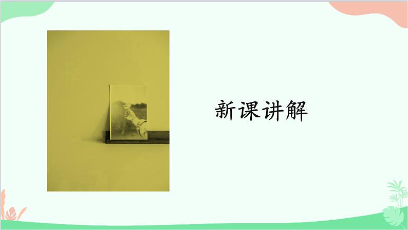 人教版生物七年级上册 第1单元第2章第1节第1课时 环境中的生态因素 非生物因素对生物的影响课件第6页