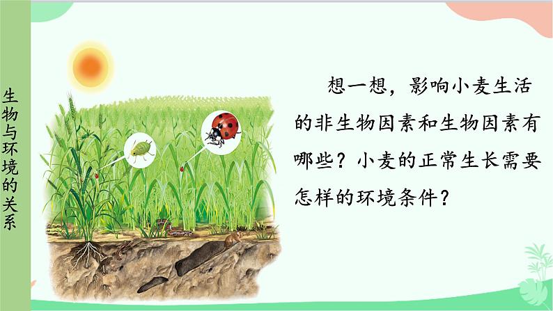 人教版生物七年级上册 第1单元第2章第1节第1课时 环境中的生态因素 非生物因素对生物的影响课件第8页