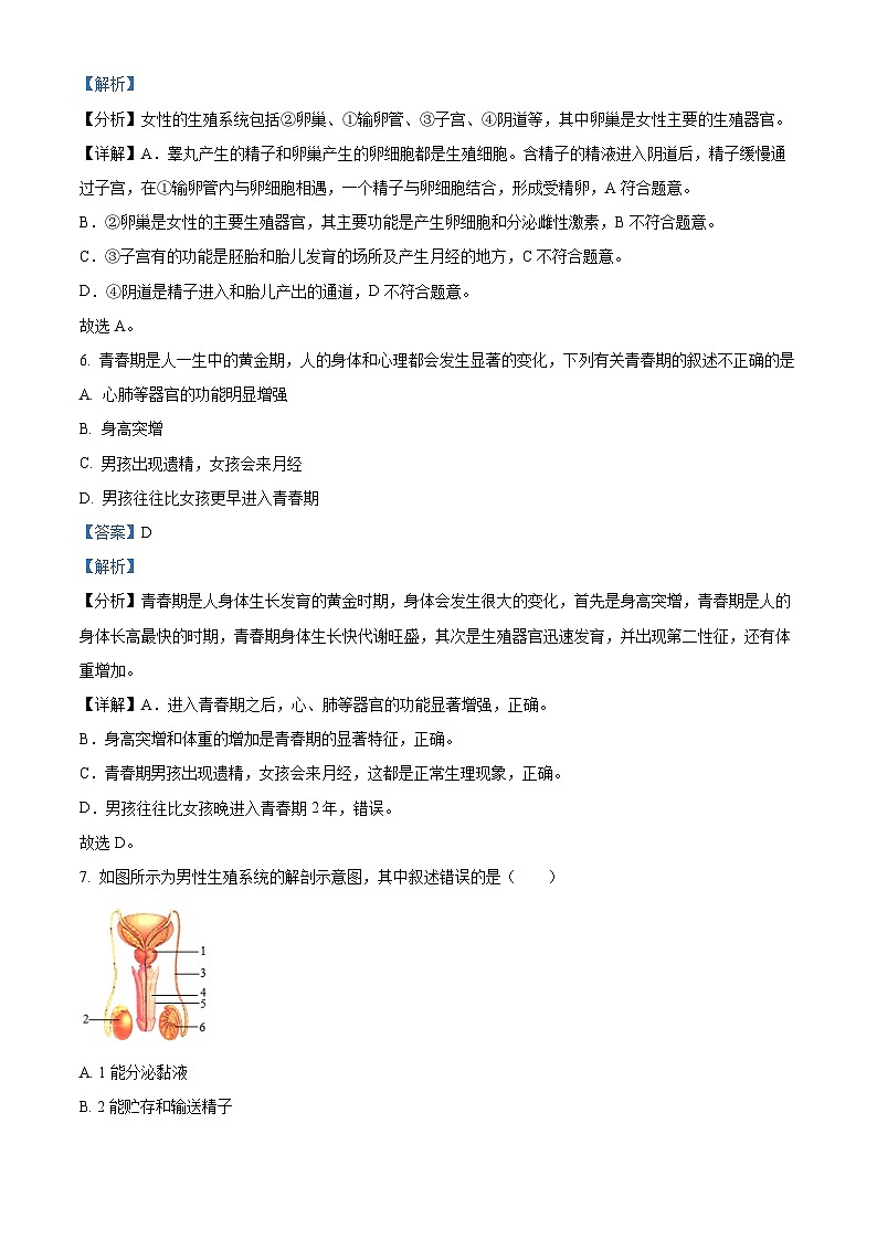 精品解析:山东省威海市荣成市2022-2023学年七年级上学期期末生物试题(解析版)第3页