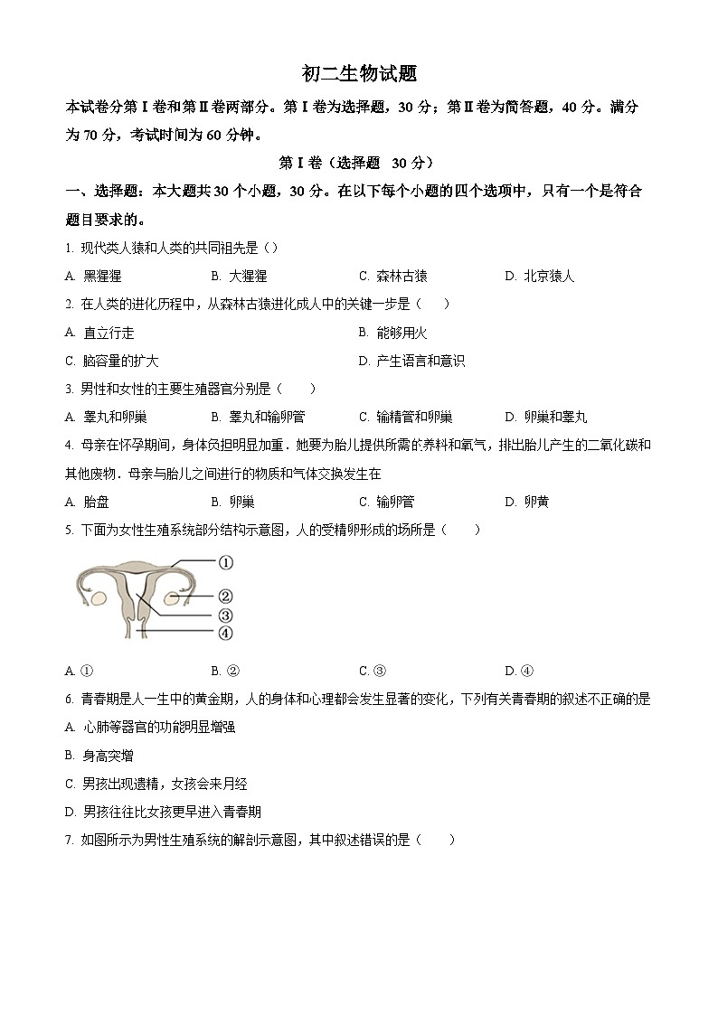精品解析:山东省威海市荣成市2022-2023学年七年级上学期期末生物试题(原卷版)第1页
