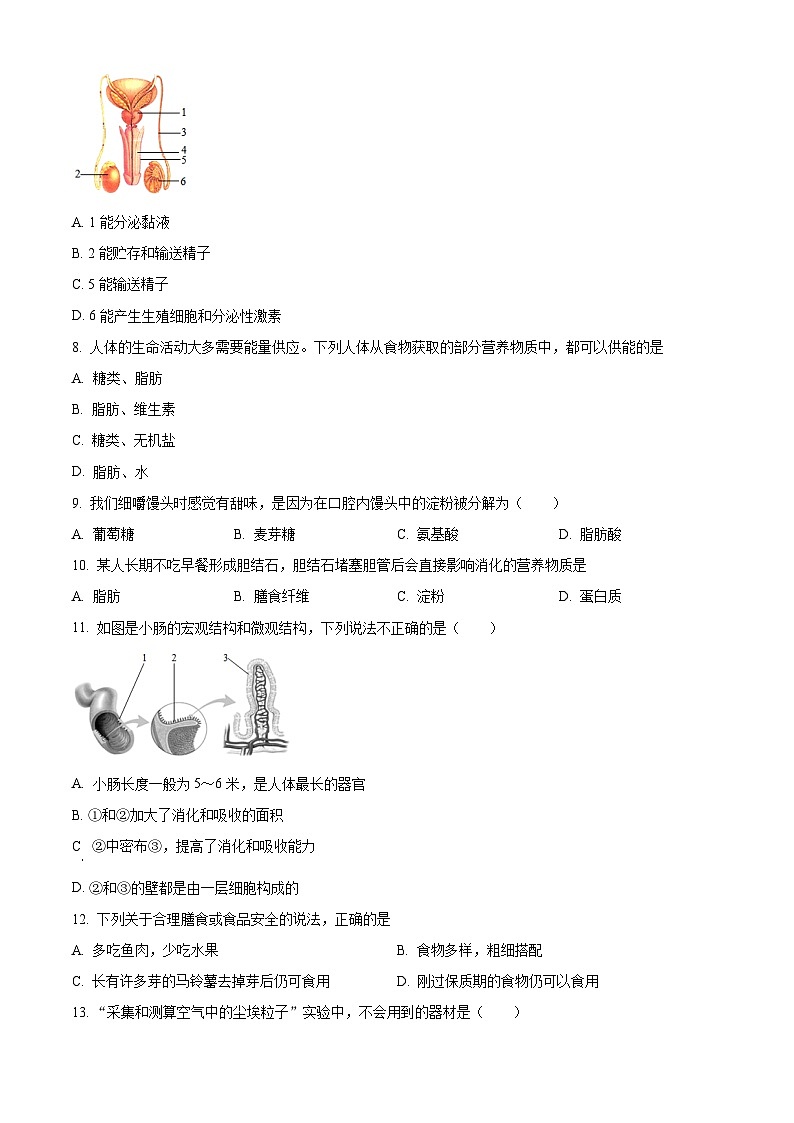 精品解析:山东省威海市荣成市2022-2023学年七年级上学期期末生物试题(原卷版)第2页