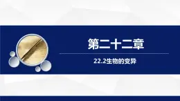 22.2生物的变异同步课件2023--2024学年苏科版生物八年级下册