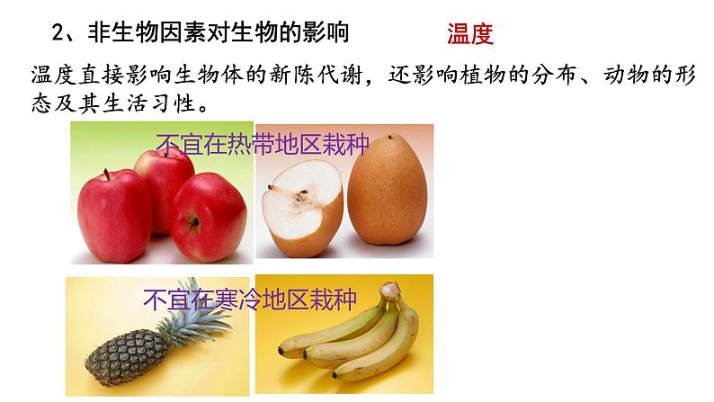 1.1.2生物与环境的相互影响课件2023--2024学年北师大版生物七年级上册06