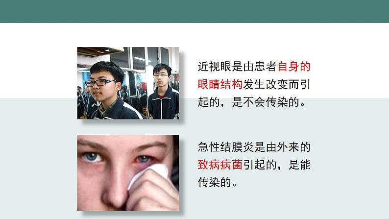 24.2传染病的预防(第一课时)同步课件第6页