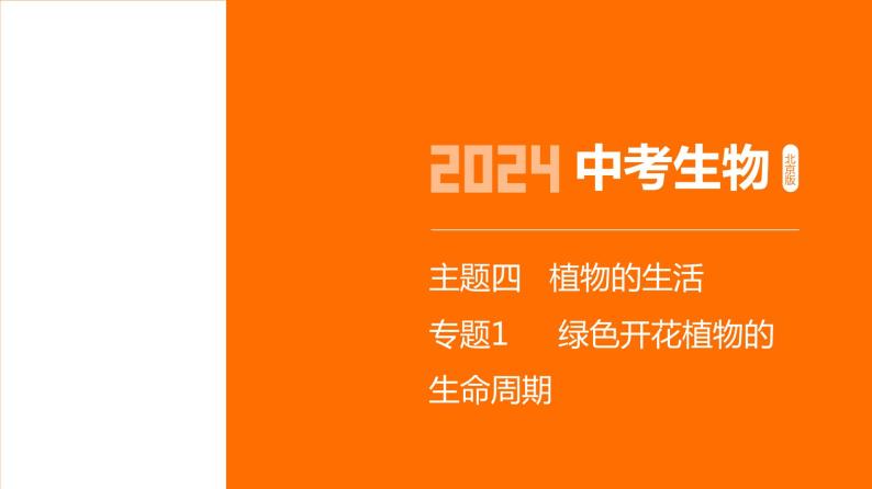 主题4 植物的生活--2024年中考 北京版初中生物 一轮复习课件01