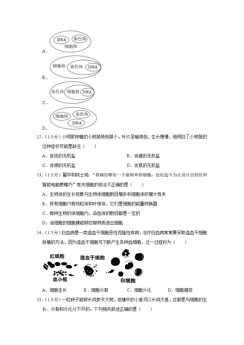 16,河南省洛阳市2023-2024学年七年级上学期期末生物试卷第3页