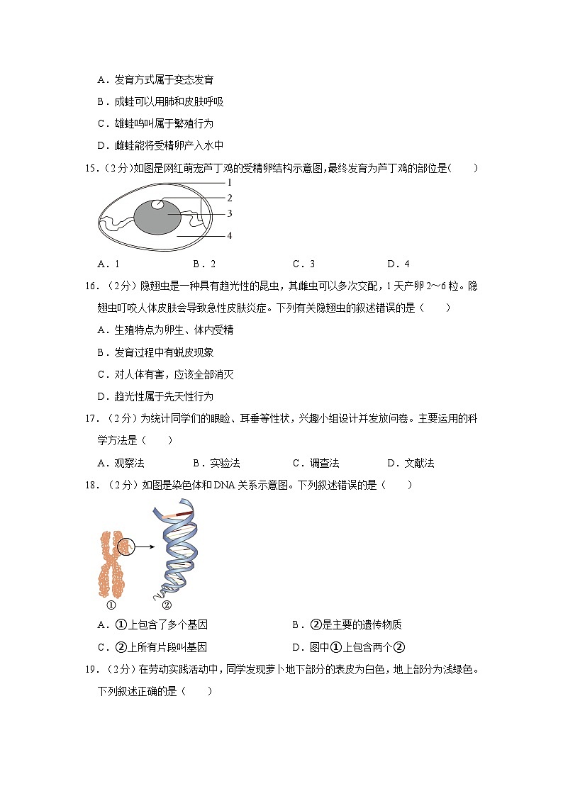 26,福建省泉州市晋江市2023-2024学年八年级上学期期末生物试卷03