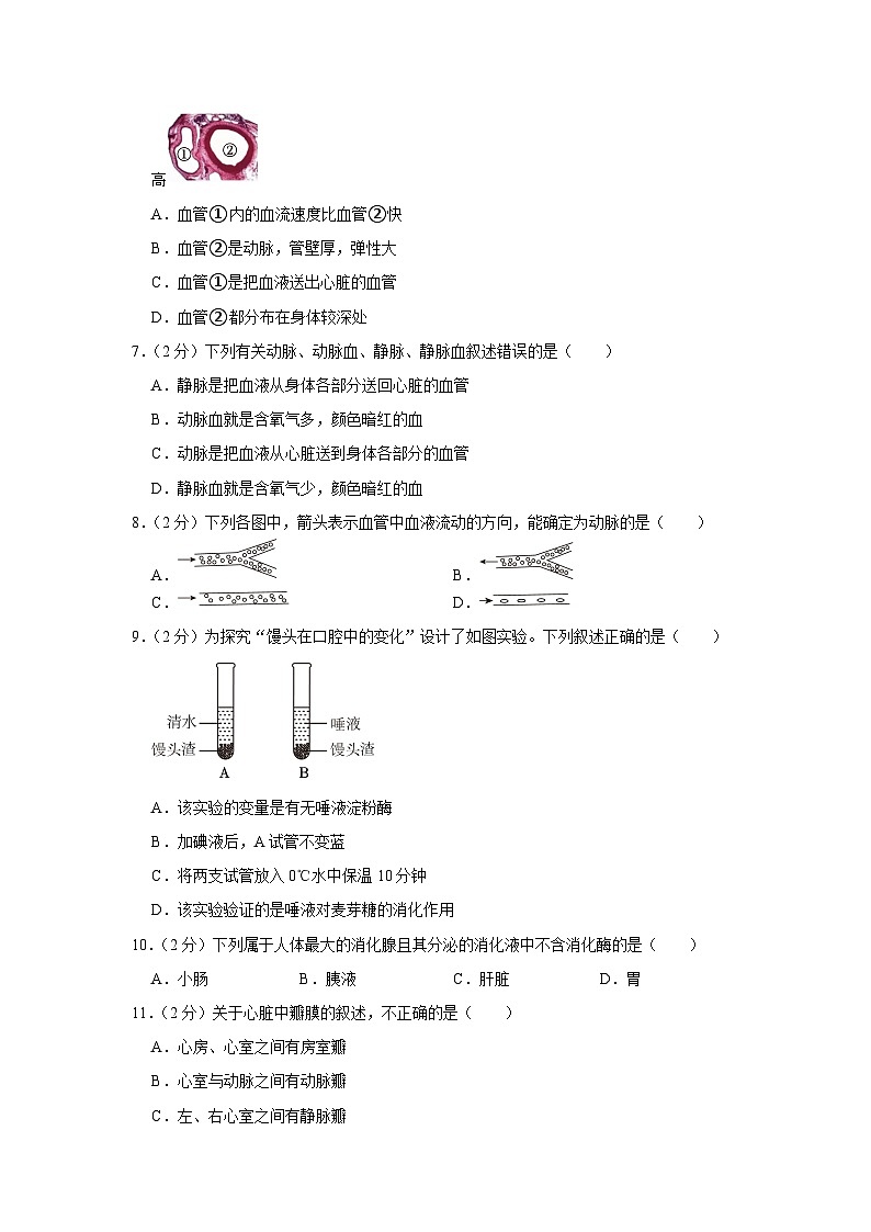 29,河北省廊坊市第四中学2022-2023学年七年级下学期月考生物试卷(3月份)第2页