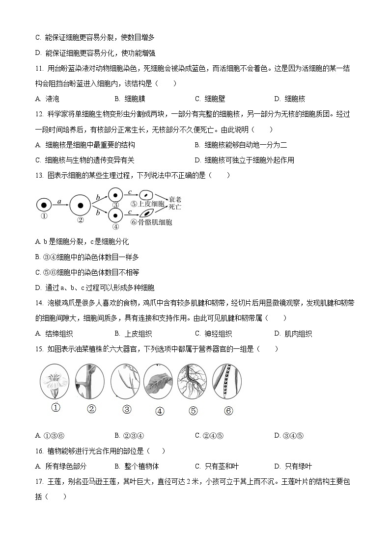 32,四川省巴中市2023-2024学年七年级上学期期末生物试题03