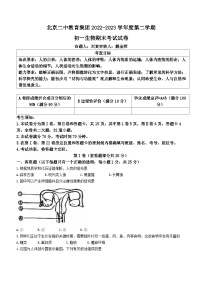 北京市第二中学教育集团2022-2023学年七年级下学期期末考试生物试卷