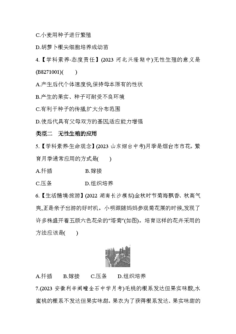 专项素养综合全练(一) 植物的无性生殖-人教版初中生物八年级下册同步练习第2页