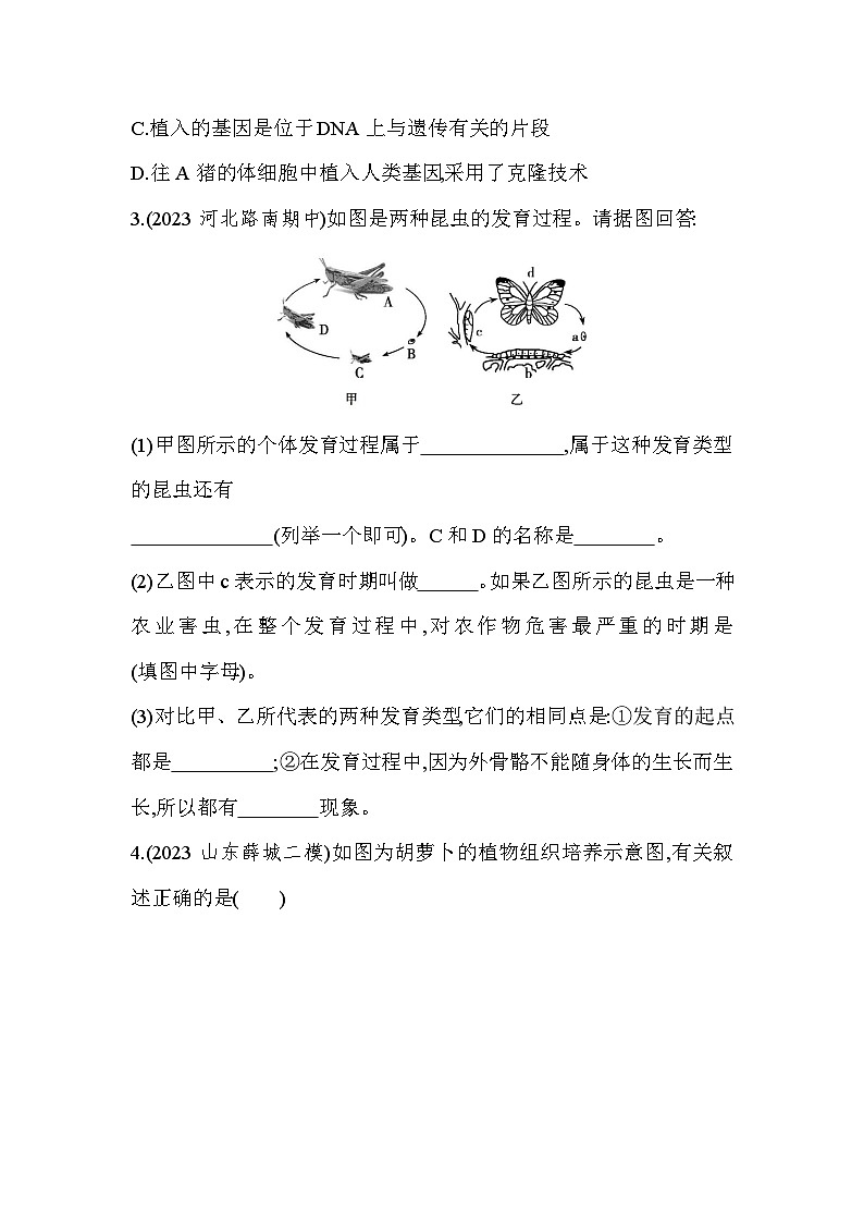 专项素养综合全练(五) 识图分析-人教版初中生物八年级下册同步练习第2页