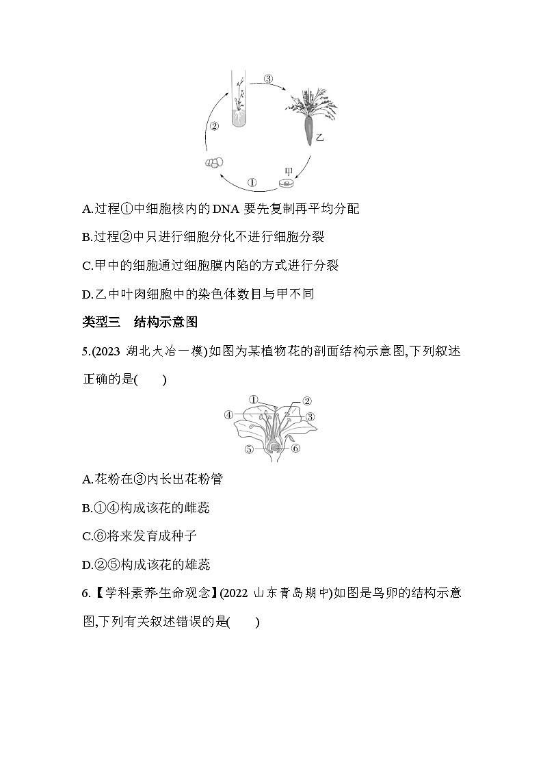专项素养综合全练(五) 识图分析-人教版初中生物八年级下册同步练习第3页
