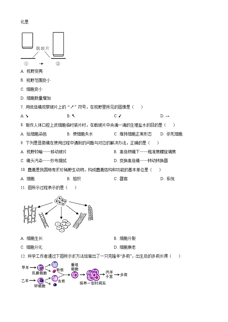 北京市石景山区2023-2024学年七年级上学期期末生物试题(原卷版+解析版)02
