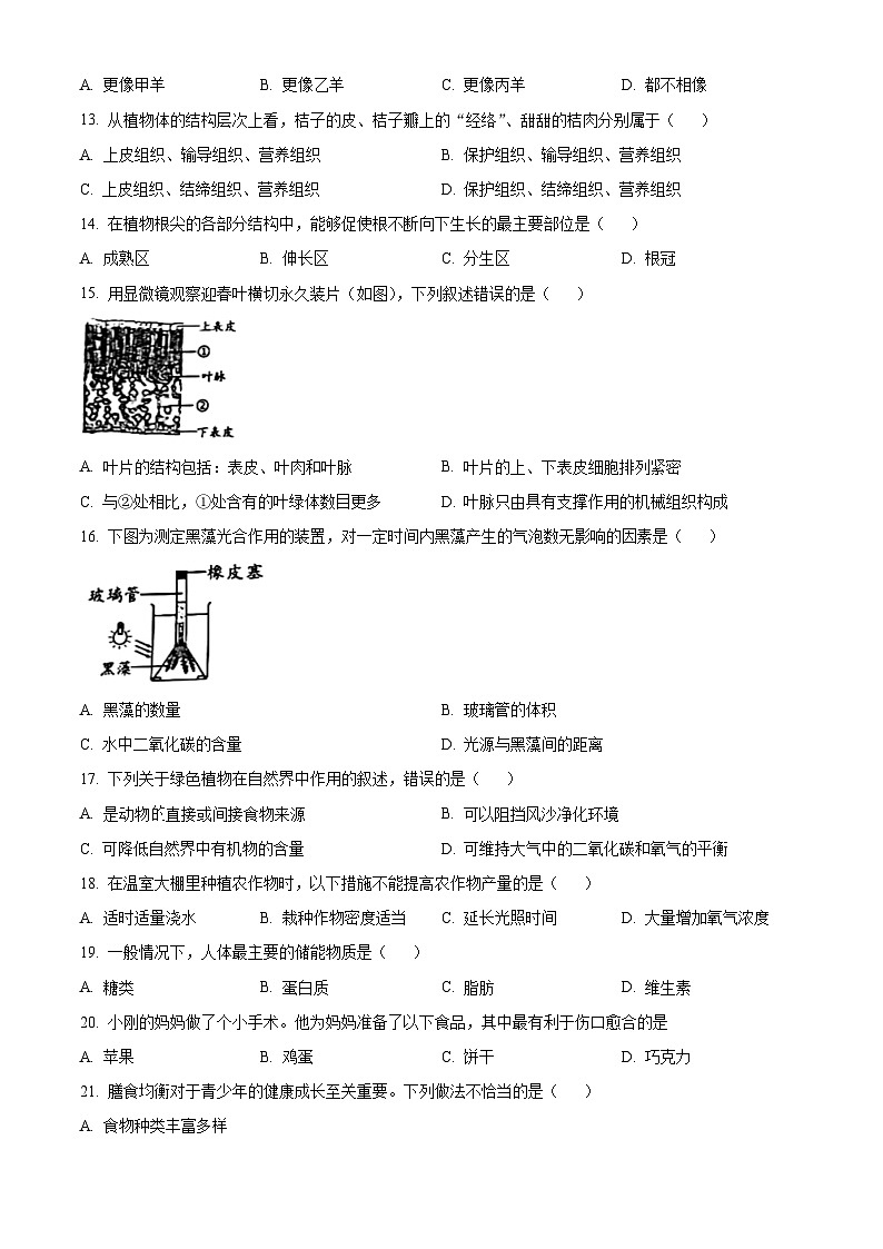 北京市石景山区2023-2024学年七年级上学期期末生物试题(原卷版+解析版)03