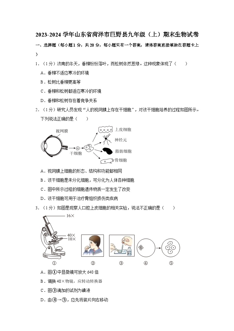 山东省菏泽市巨野县2023-2024学年九年级上学期期末生物试卷