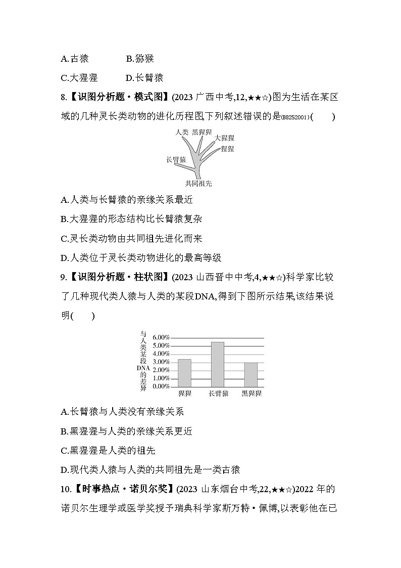5.21　人類的起源--濟南版初中生物八年級下冊同步練習第3頁