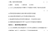 初中生物苏教版八年级下册第二节 人的性状和遗传课时练习