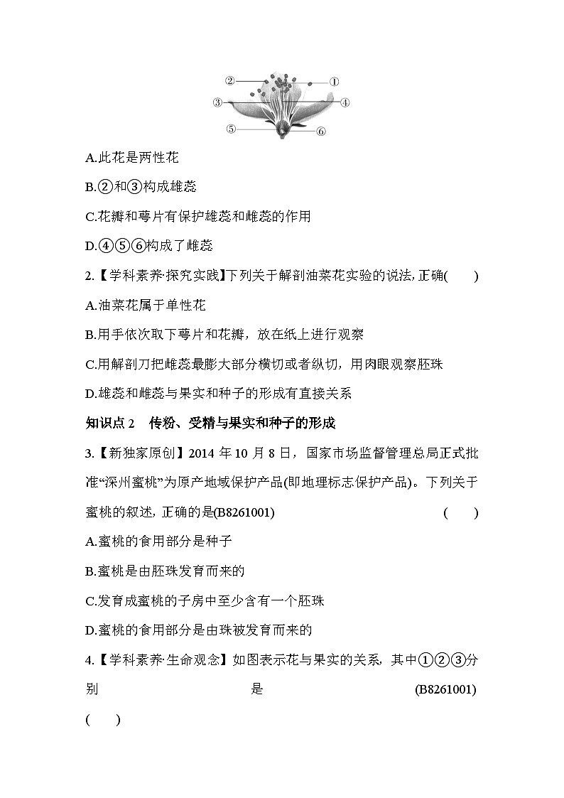 6.1.1  有性生殖--冀少版初中生物八年级下册同步练习第2页