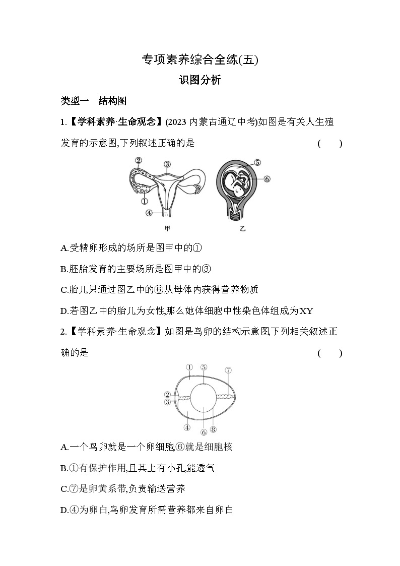 05-专项素养综合全练（五）   识图分析--冀少版初中生物八年级下册同步练习01