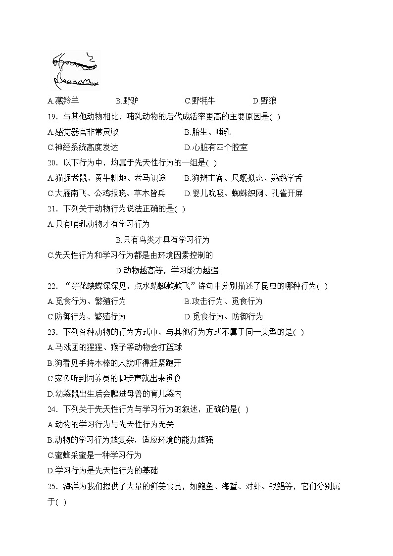 河北省沧州市泊头市2023-2024学年七年级上学期期中教学质量检测生物试卷(含答案)第3页