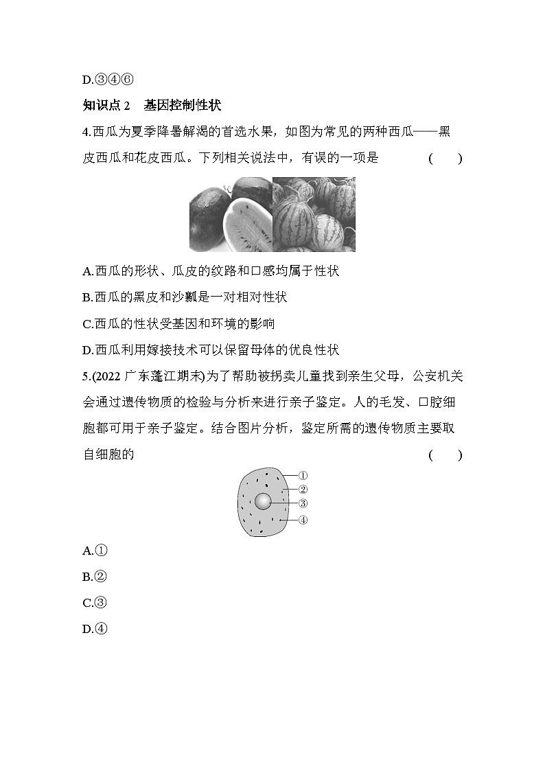 8.22 基因控制生物的性状--五四学制鲁科版版初中生物八年级下册同步练习第2页