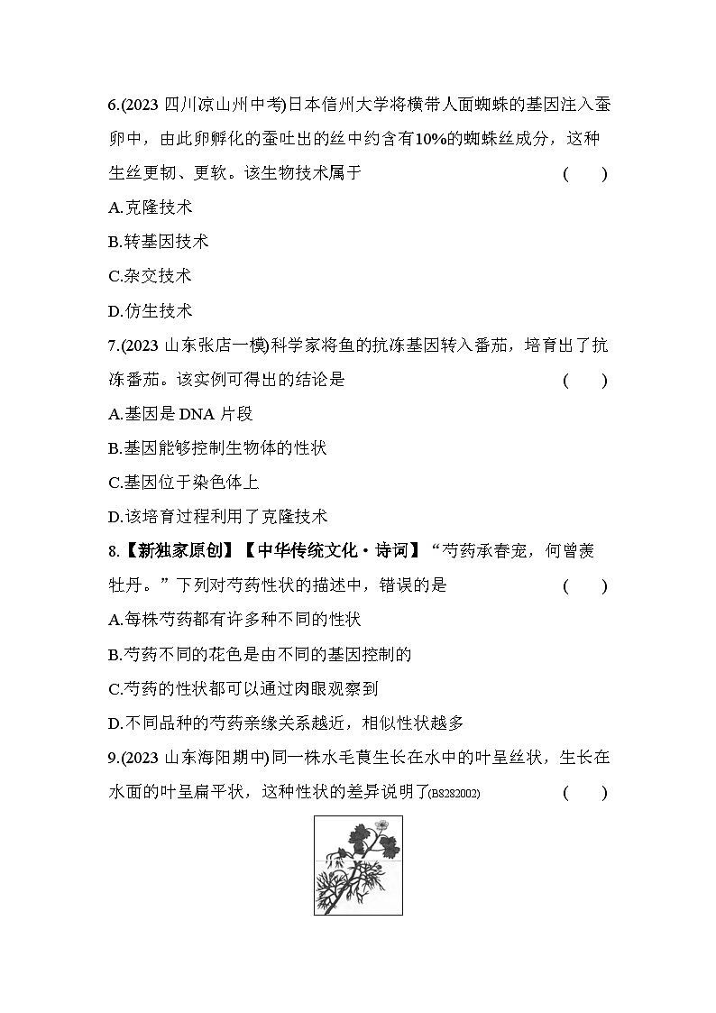 8.22 基因控制生物的性状--五四学制鲁科版版初中生物八年级下册同步练习第3页