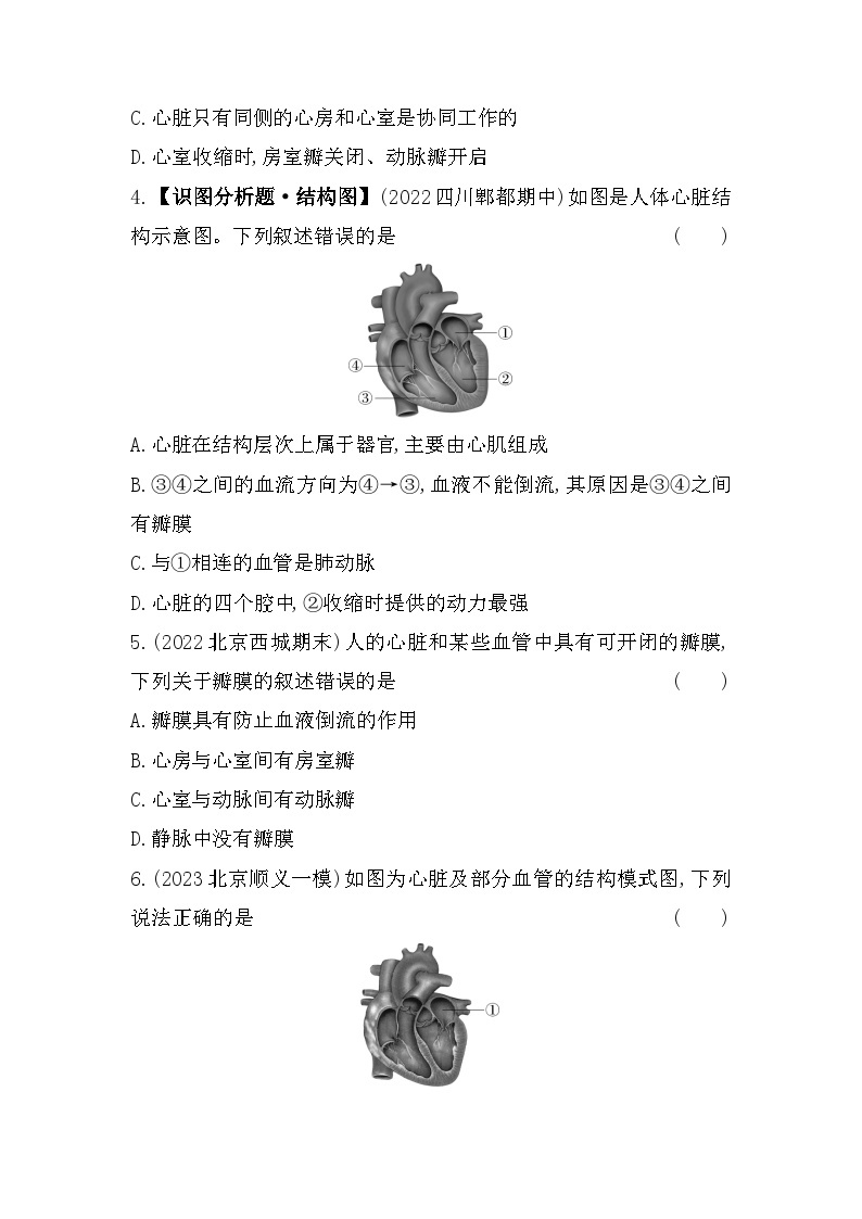5.23　心脏--北京课改版初中生物七年级下册同步练习02