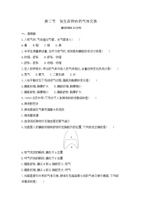 初中生物人教版 (新课标)七年级下册第二节 发生在肺内的气体交换同步训练题
