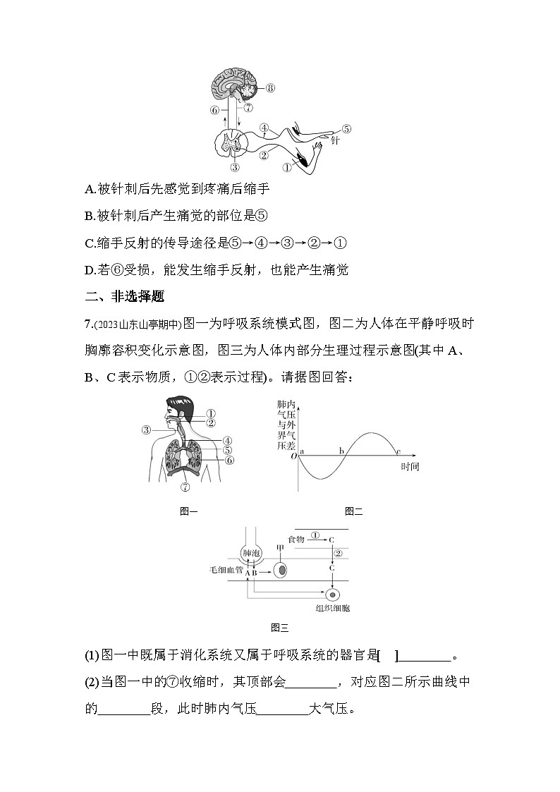 05-专项素养综合全练(五) 识图分析--济南版初中生物七年级下册同步练习03