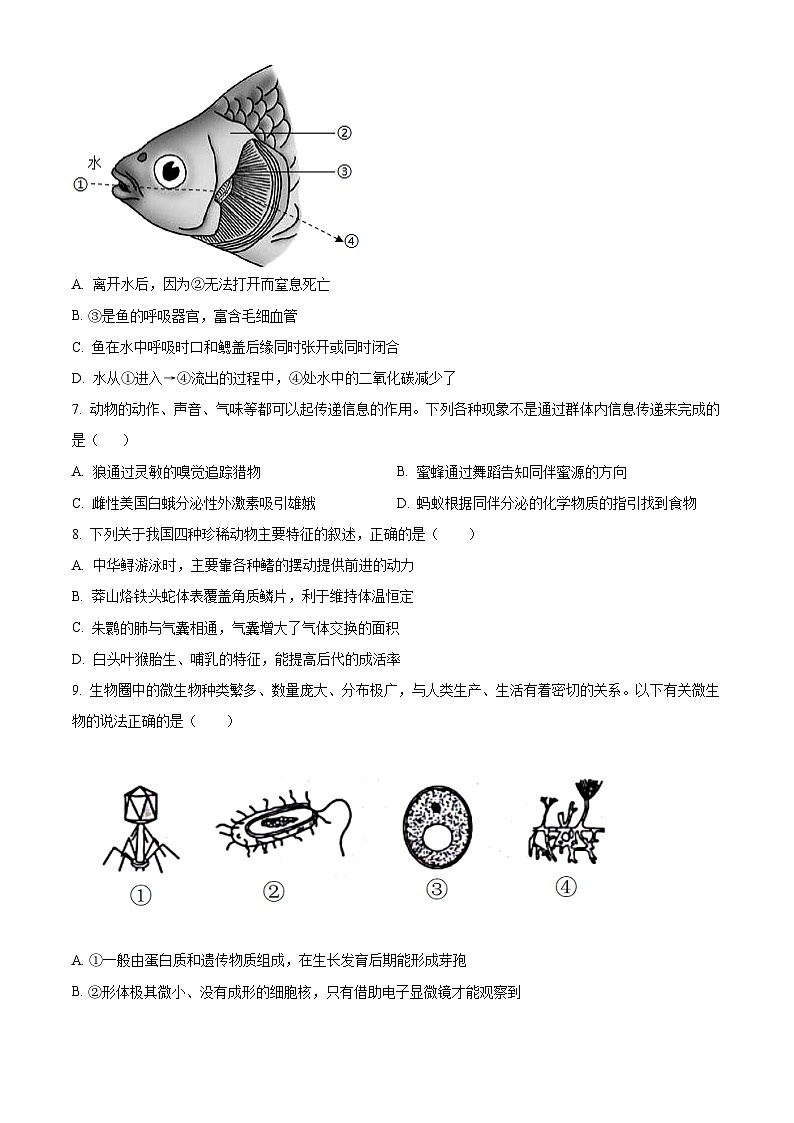 精品解析:辽宁省丹东市东港市2023-2024学年八年级上学期期末生物试题(原卷版)第2页