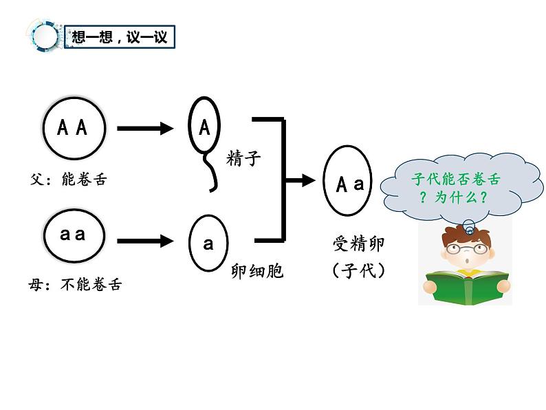 7.2.3++基因的显性和隐性++课件-2023-2024学年人教版生物八年级下册02